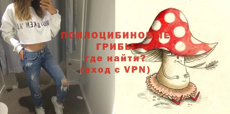 Псилоцибиновые грибы Magic Shrooms Шелехов